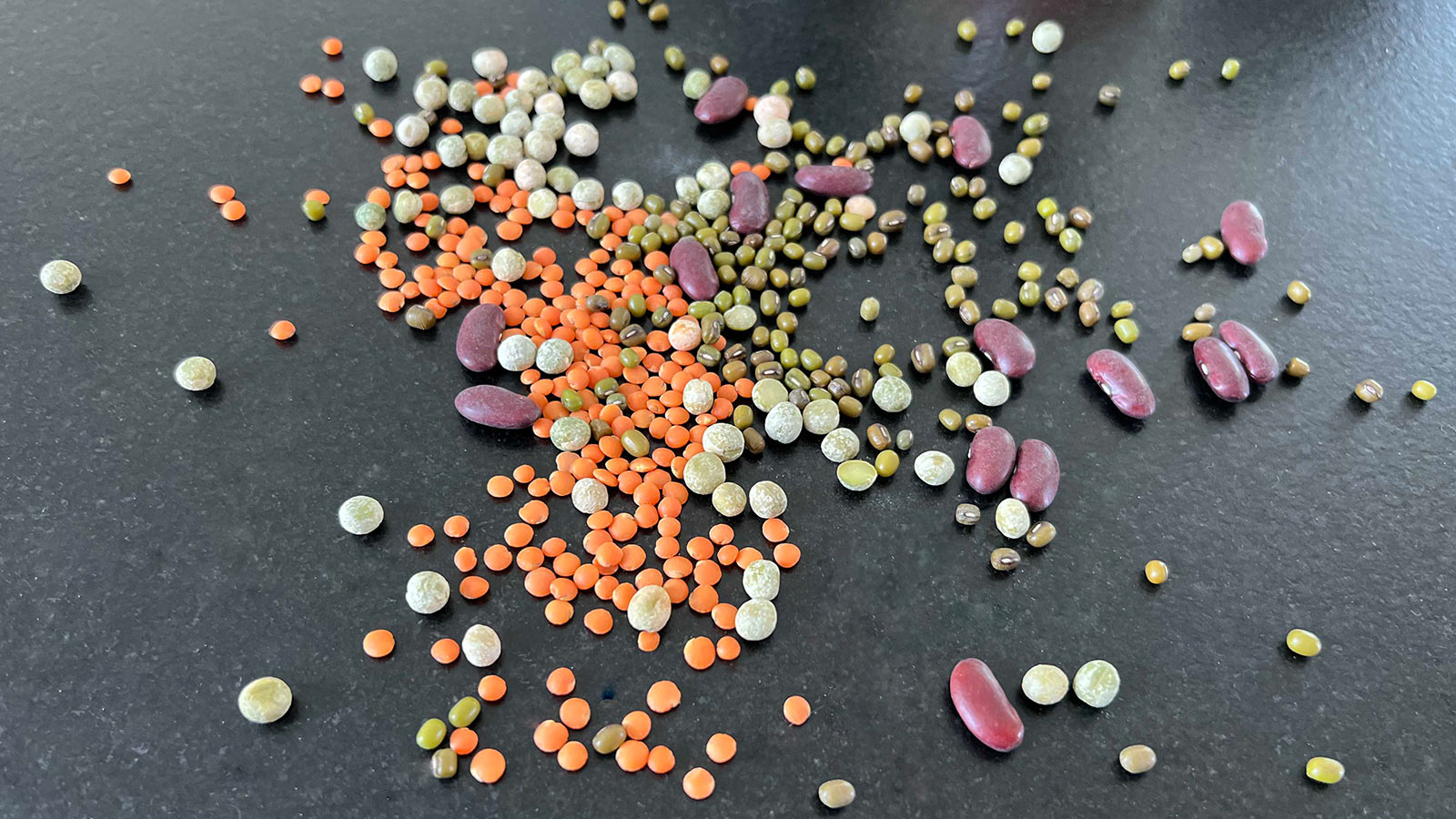 Faszination Hülsenfrüchte Leguminosen – vom Acker auf den Tisch | Foto: Babette Doneck