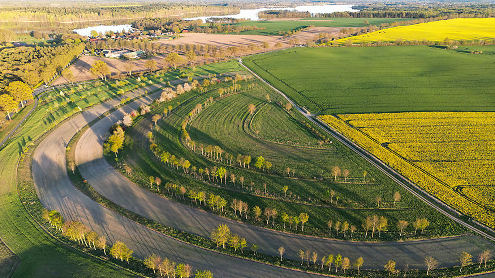 Agroforst Gut Groß Zecher | Foto: Sven Zimmerman